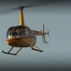 R66 TURBINE FSX/P3D